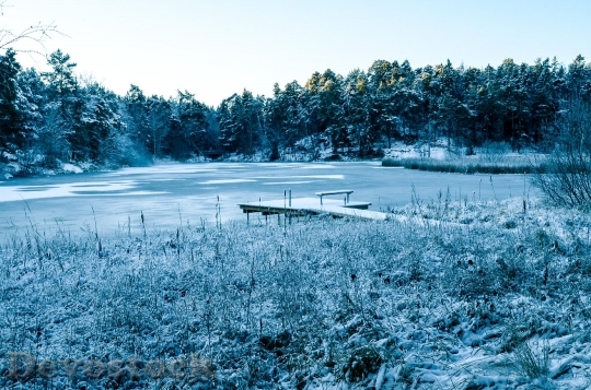 Devostock Winter Snow Horizon Landscape 1