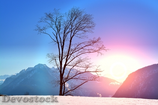 Devostock Winter Wintry Snow Sunset