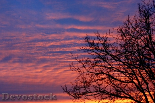 Devostock Wood Sunrise Red Sky
