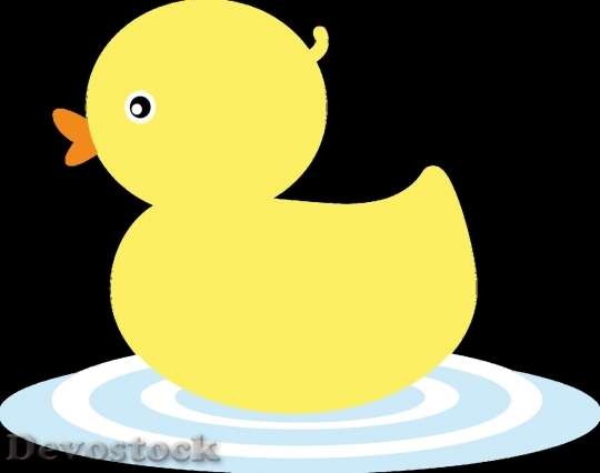 Devostock Duck  (179)