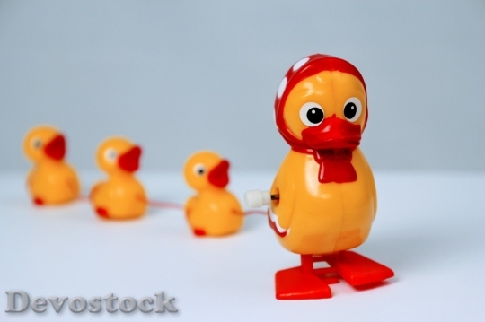 Devostock Duck  (267)