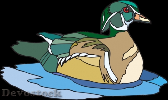 Devostock Duck  (299)