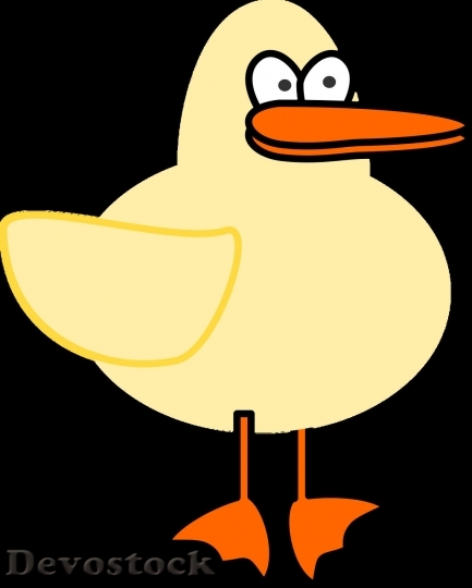 Devostock Duck  (363)