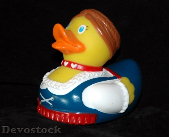 Devostock Duck  (58)