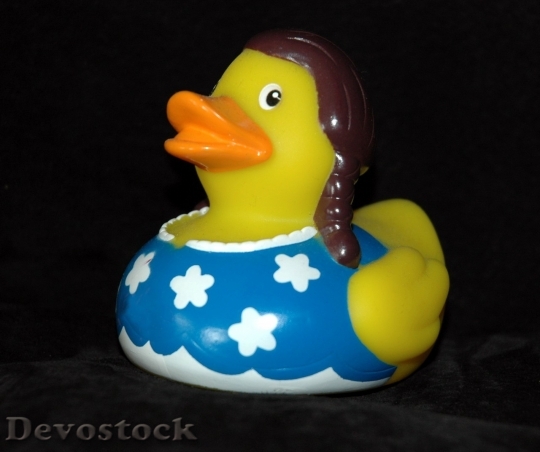 Devostock Duck  (75)