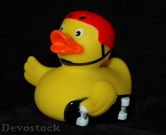Devostock Duck  (76)