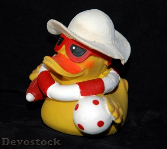 Devostock Duck  (77)