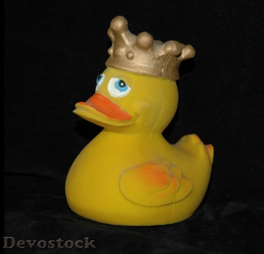 Devostock Duck  (78)