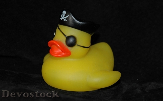 Devostock Duck  (79)