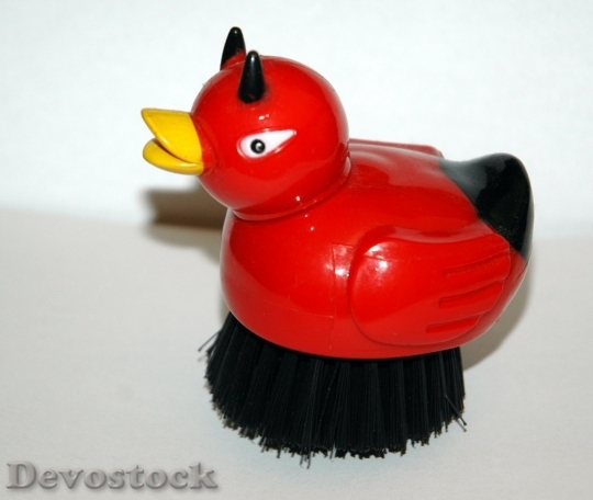 Devostock Duck  (84)