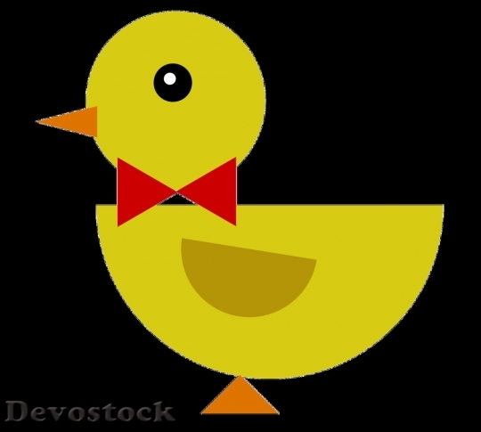 Devostock Duck  (90)