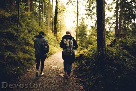 Devostock forest-friends-friendship-591216