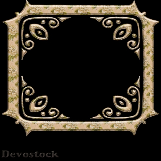 Devostock Frame design  (239)