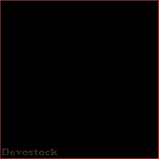 Devostock Frame design  (83)