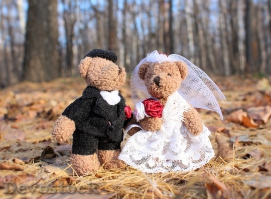 Devostock Groom and bride teddy bear wedding