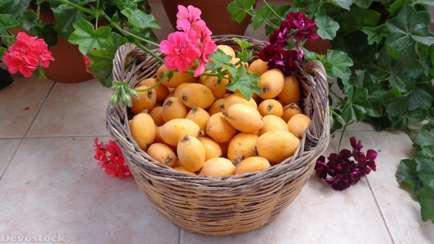 Devostock Loquat fruits  (7)