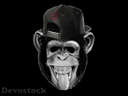 Devostock Monkey  (124)