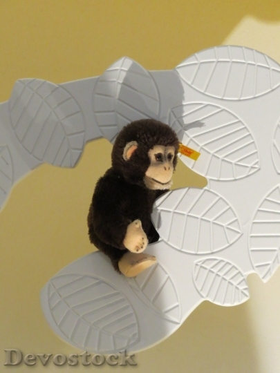 Devostock Monkey  (46)