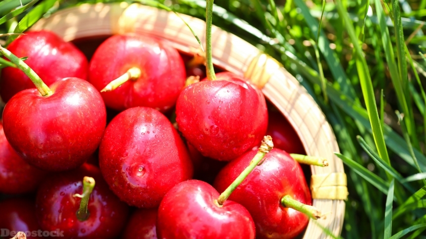 Devostock Nutritious fresh cherries  (12)