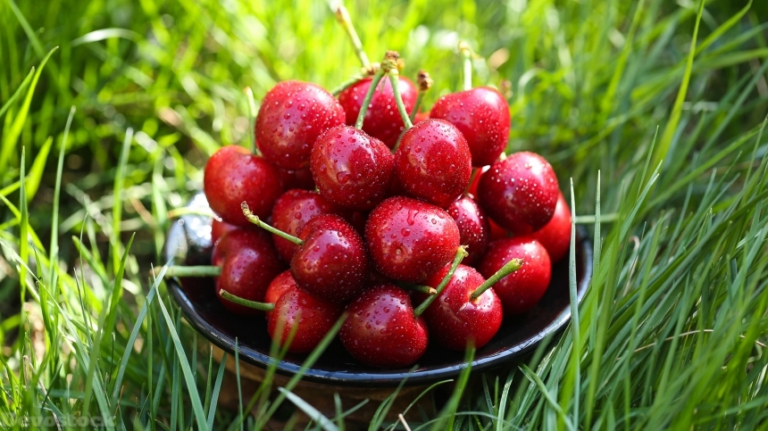 Devostock Nutritious fresh cherries  (8)