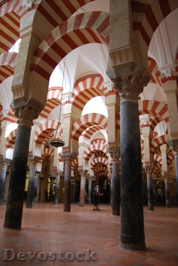 Devostock Old famous mosque  (433)