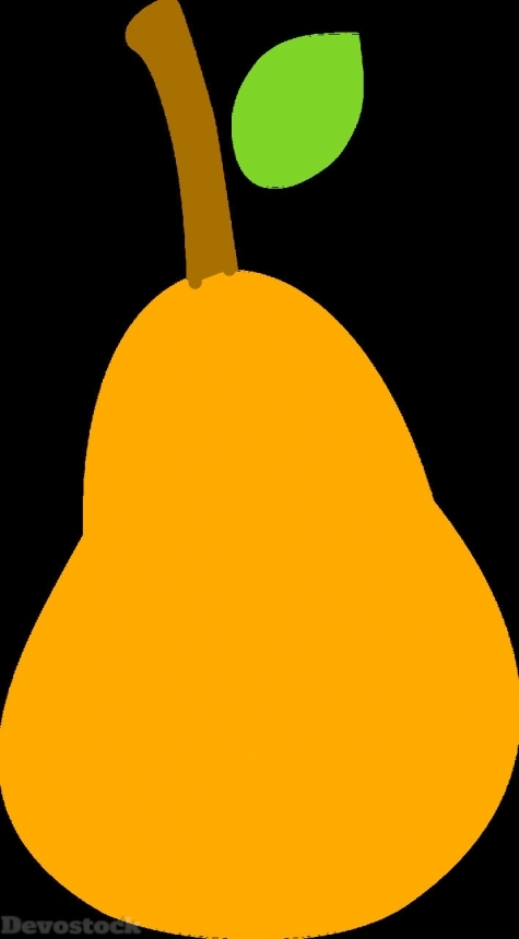 Devostock Orange fruit  (100)