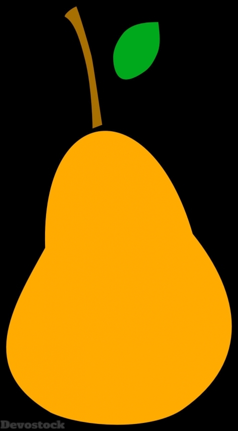 Devostock Orange fruit  (112)