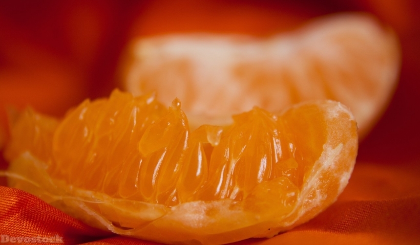 Devostock Orange fruit  (116)