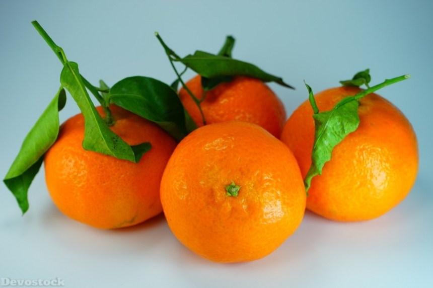 Devostock Orange fruit  (121)