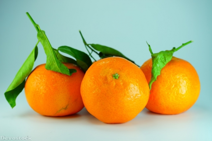 Devostock Orange fruit  (123)