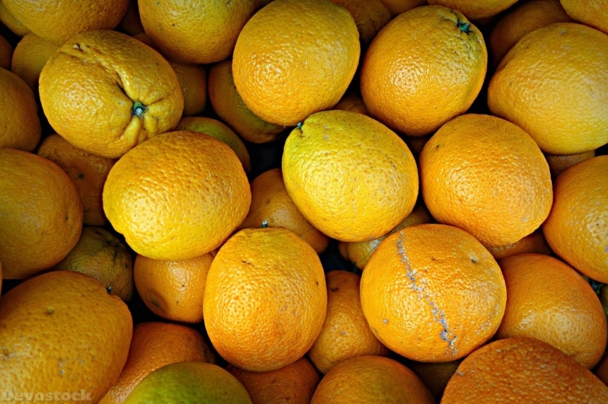 Devostock Orange fruit  (126)