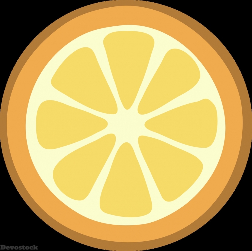 Devostock Orange fruit  (140)