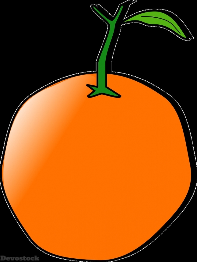 Devostock Orange fruit  (142)
