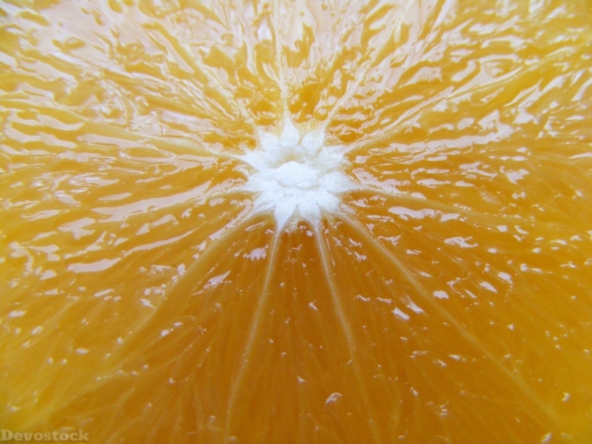 Devostock Orange fruit  (149)