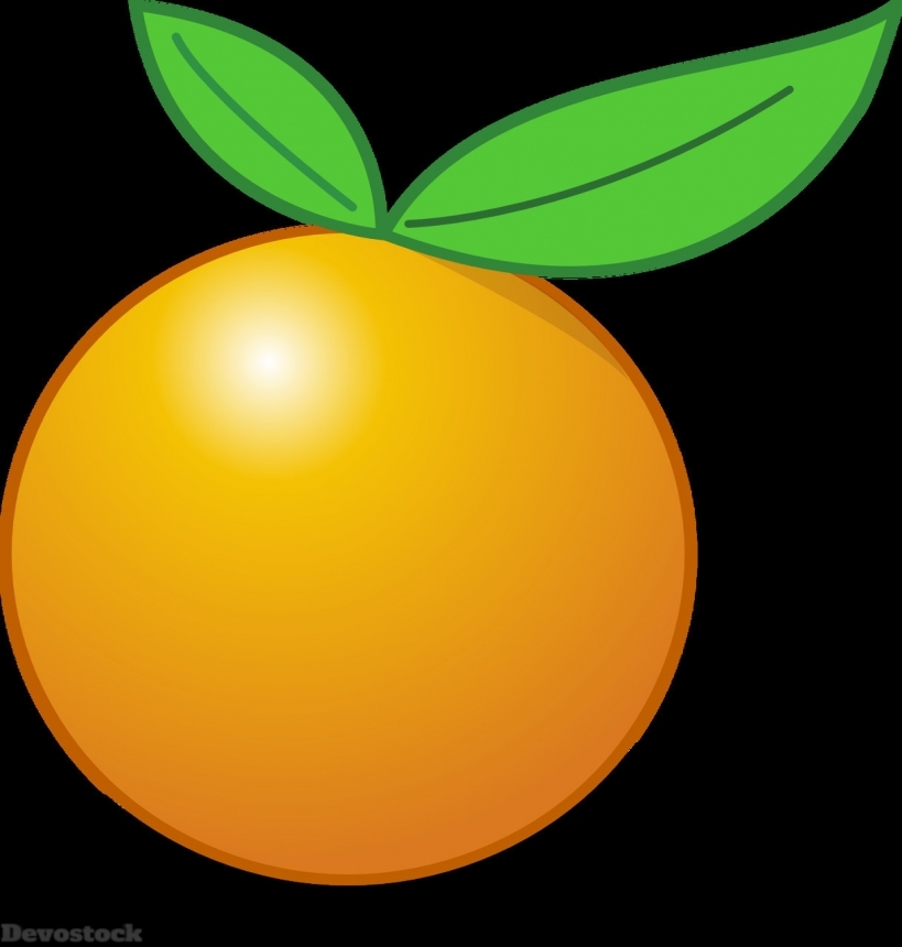 Devostock Orange fruit  (162)