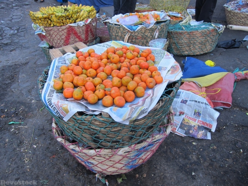 Devostock Orange fruit  (172)