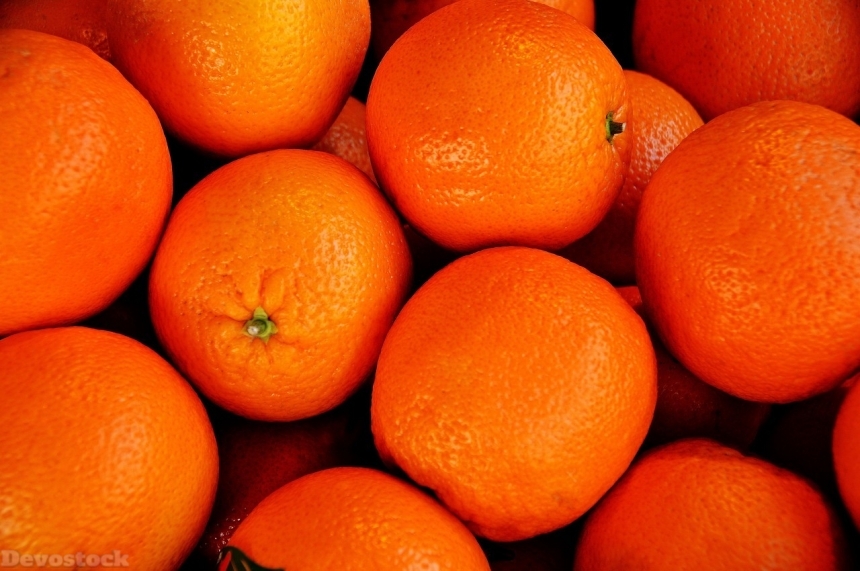 Devostock Orange fruit  (173)