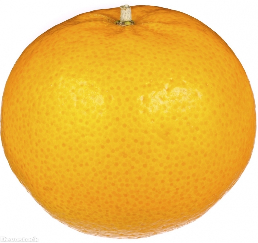 Devostock Orange fruit  (176)