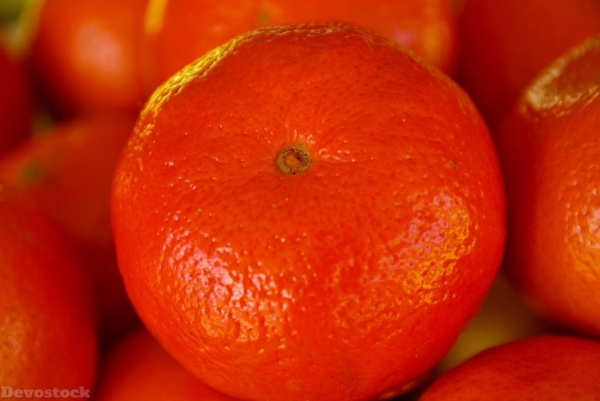 Devostock Orange fruit  (177)