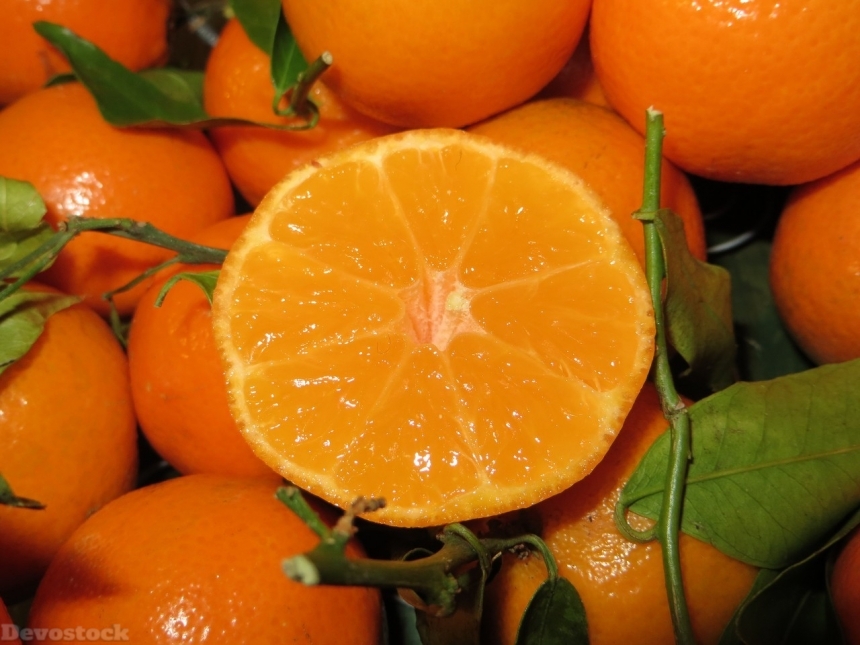 Devostock Orange fruit  (180)