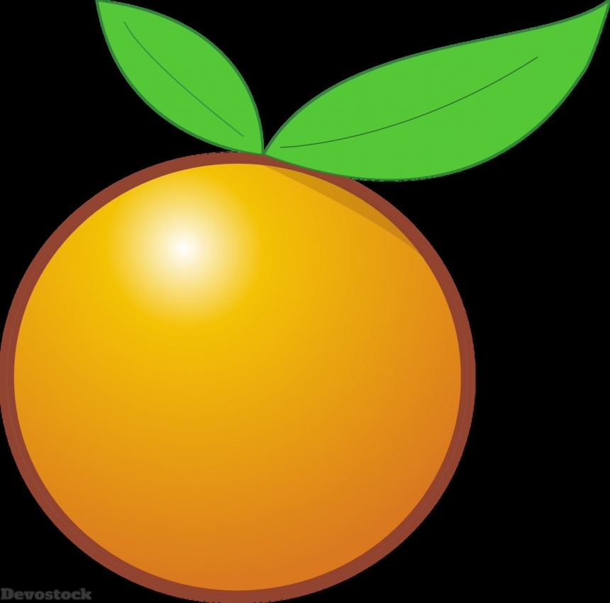 Devostock Orange fruit  (183)