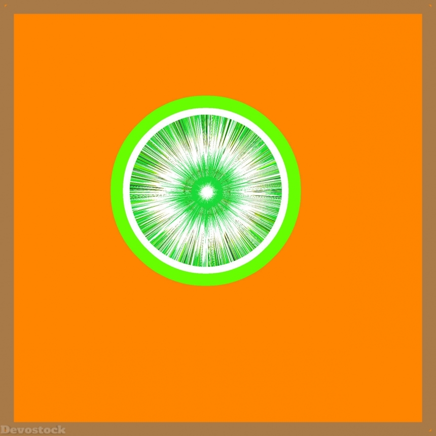 Devostock Orange fruit  (185)
