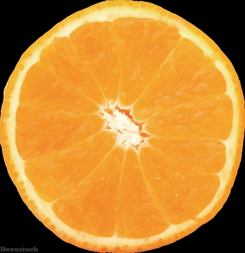 Devostock Orange fruit  (187)