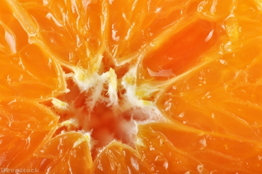Devostock Orange fruit  (193)