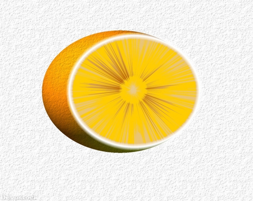 Devostock Orange fruit  (195)