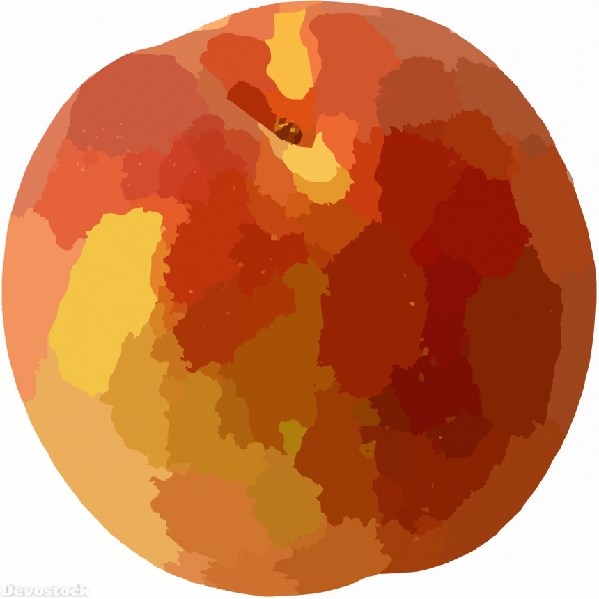 Devostock Orange fruit  (196)