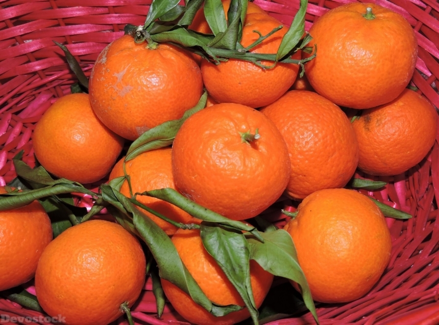Devostock Orange fruit  (198)