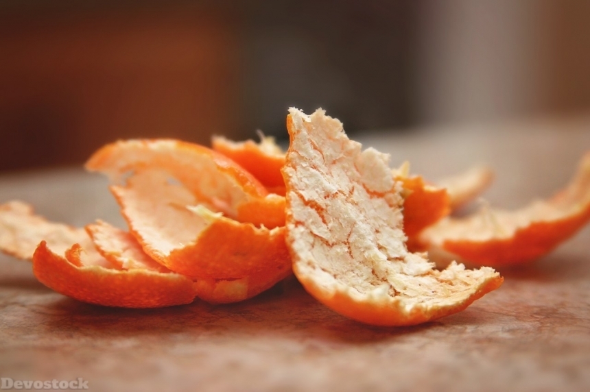 Devostock Orange fruit  (199)