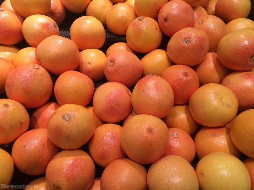 Devostock Orange fruit  (203)