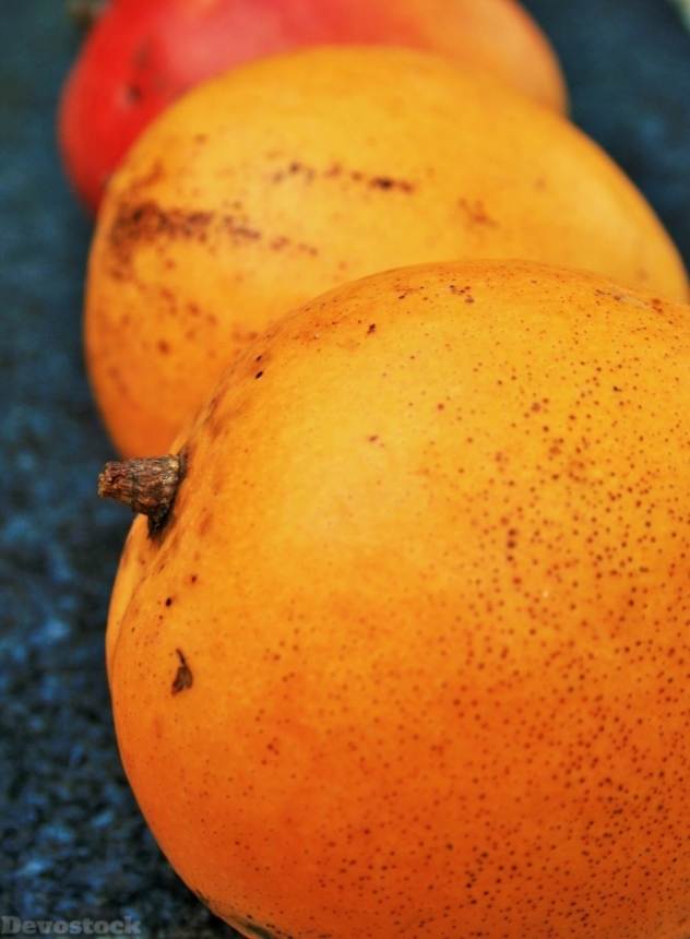 Devostock Orange fruit  (208)
